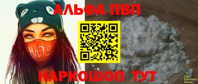 гашик Славгород