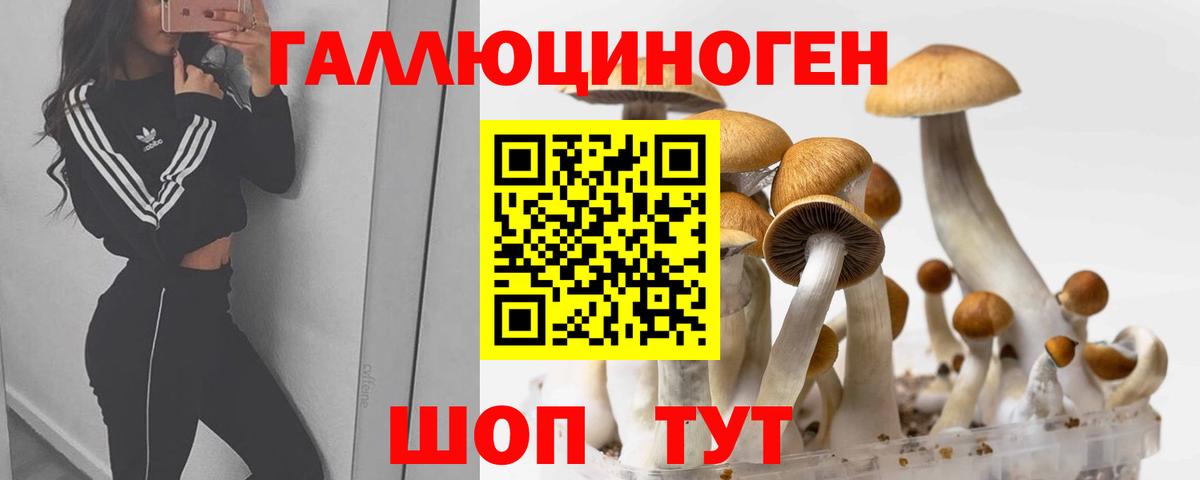 Псилоцибиновые грибы Cubensis Нижнеудинск