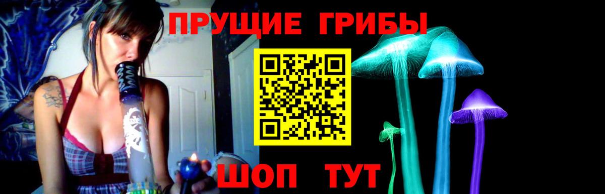 Нижнеудинск  Галлюциногенные грибы MAGIC MUSHROOMS  Вход с VPN 